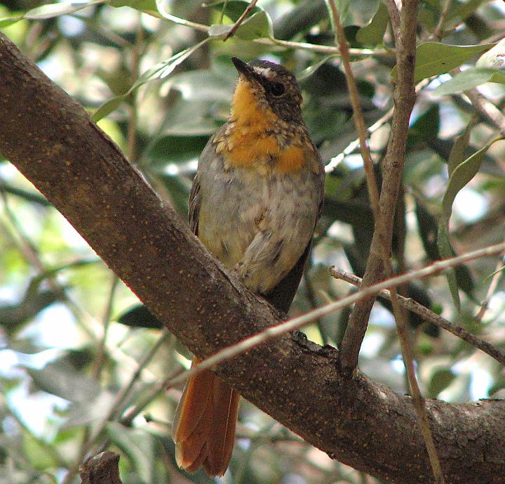 IMG_5125.JPG - Nou moet ek vir myself sorg