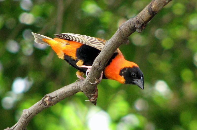 IMG_5055.JPG - Is daar nog kos vir my?..