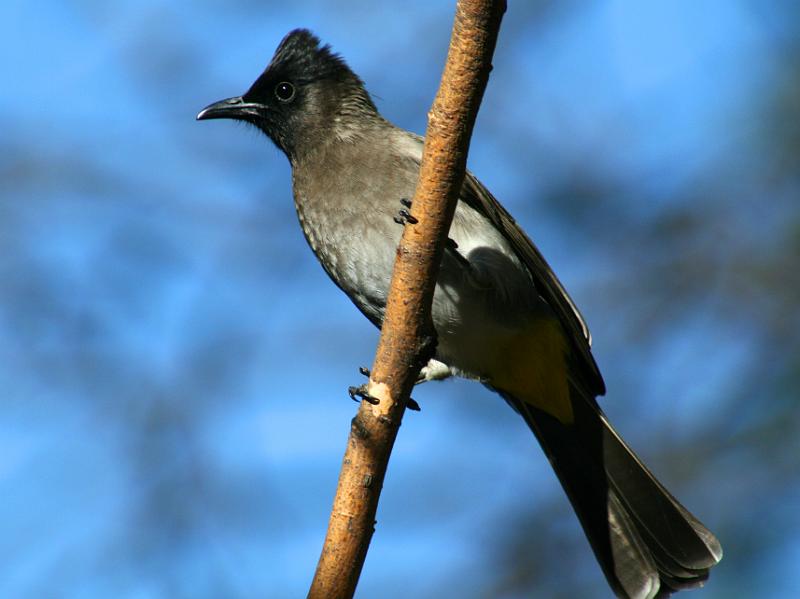 2.JPG - Ai die kos raak skaars!  Winter is aan die kom!